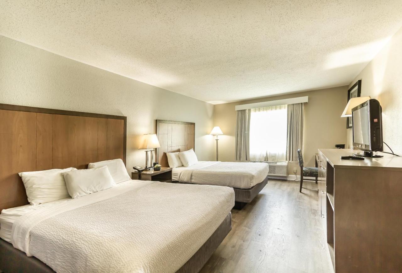 La Quinta By Wyndham South Hotel Chester